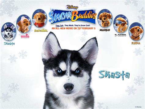 Snow Dogs Movie Wallpaper - WallpaperSafari