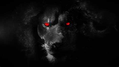 Black Lion Wallpaper - WallpaperSafari