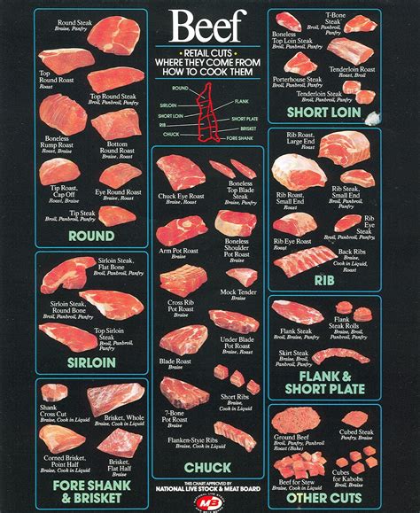 The American Cowboy Chronicles: Cattle Diagrams - Retail Beef Cuts Chart