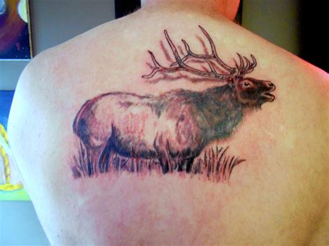 My Elk Tattoo... | Elk tattoo, Tattoos, I tattoo