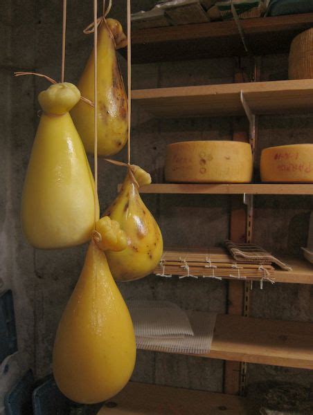 Making Caciocavallo Cheese Cheese Cave, Diy Cheese, Best Cheese ...