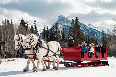 Horse-Drawn Sleigh Ride in Banff