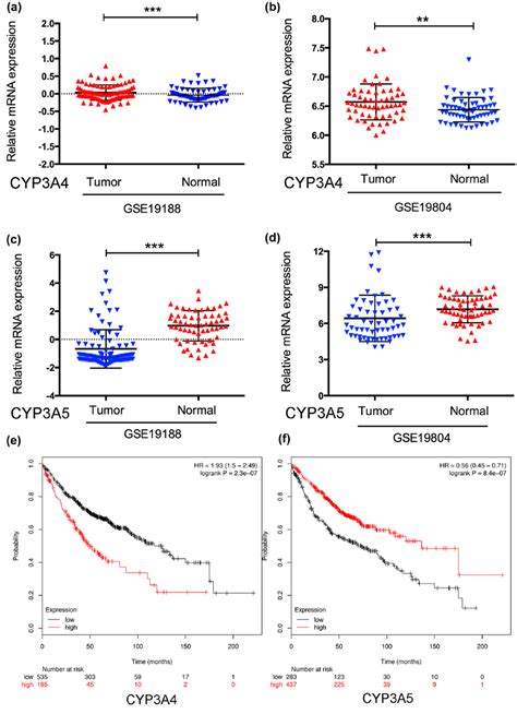 Expression patterns of CYP3A4 and CYP3A5 in LAC GEO database. (a, b ...