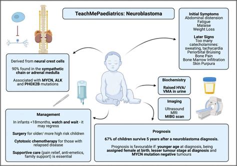 Neuroblastoma - TeachMePaediatrics