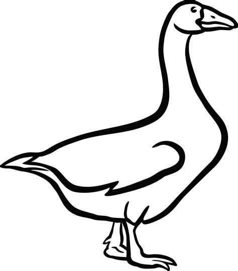 Baby Goose Clipart