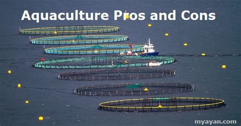 Aquaculture Pros and Cons - Benefits and Drawbacks