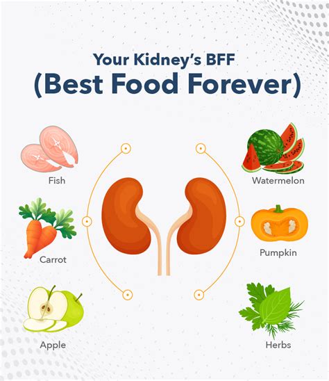 Foods to Avoid with Kidney Stones | Pathkind Labs Blog