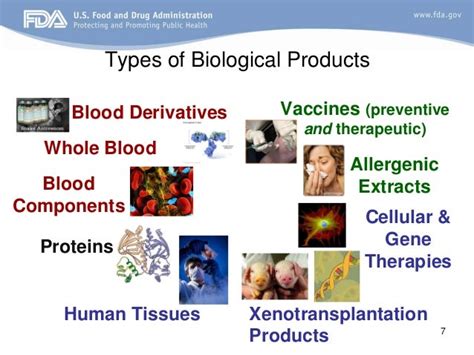 FDA Presentation on Biologics