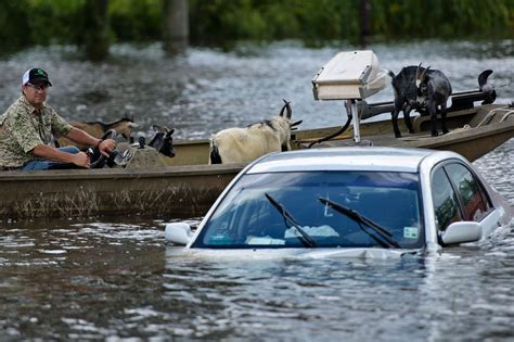 Louisiana Flooding Is ‘Worst Natural Disaster’ Since Superstorm Sandy ...