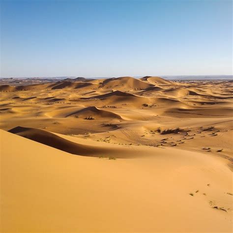 A Deeper Look into Arid Regions: Beyond the Surface | by Eco Chatter ...