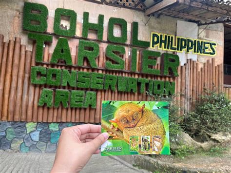 Bilar Bohol Tarsier Sanctuary: A Haven for Endangered Primates