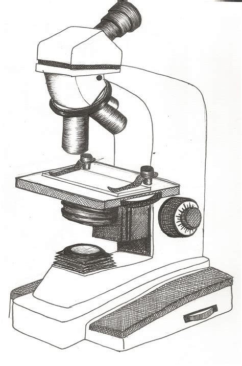 Free Microscope Drawing, Download Free Microscope Drawing png images ...