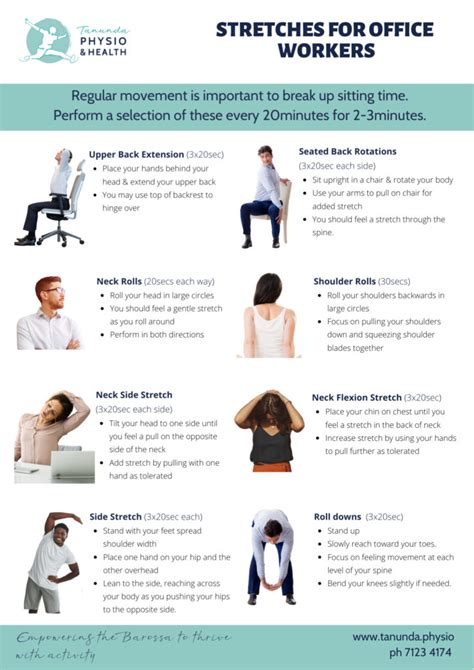 Best stretches for office workers to prevent pain - Tanunda Physio & Health