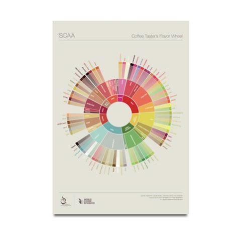 Coffee Taster's Flavour Wheel Chart - SCAA – Breeze Valley Coffee Roasters