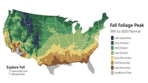 Fall Foliage Map 2024: Daily Updates and Forecasts!