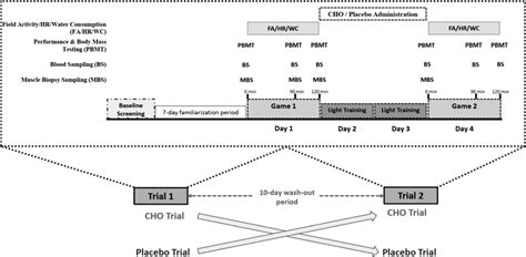 Experimental design of the study. | Download Scientific Diagram