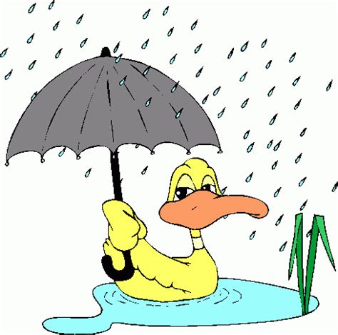 duck_in_rain clipart - duck_in_rain clip art | Погода