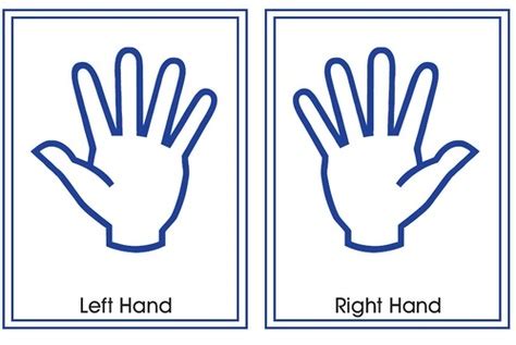 Free Left Hand Cliparts, Download Free Left Hand Cliparts png images ...