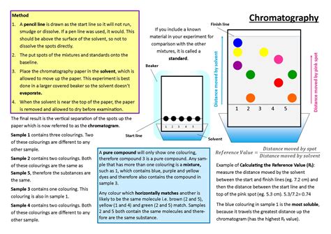 Chromatography Diagram Labeled