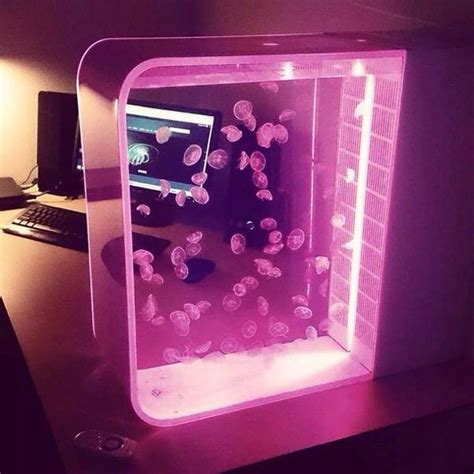 Moon jellyfish in Pulse 80 Jellyfish Tank with pink LED lights | Neon ...