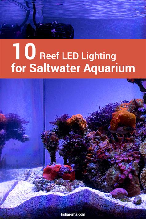 10 Reef LED Lighting for Saltwater Aquarium | Led lights, Aquarium ...