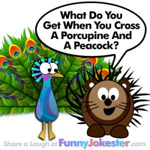 Funny Peacock Quotes. QuotesGram