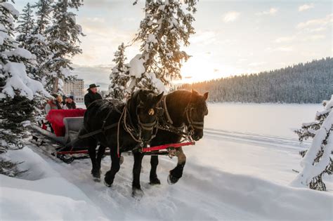 Texas Travel Files — Where to Book Holiday Horse Drawn Sleigh Rides