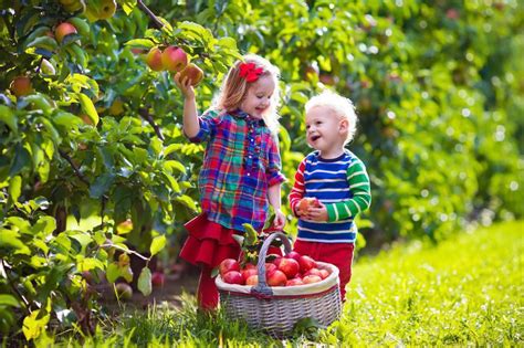 La medicalización de la infancia - Instituto Europeo de Salud Mental ...