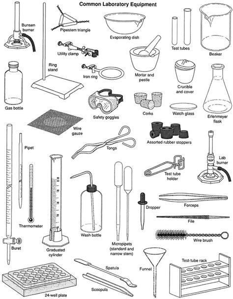 30+ Popular Laboratory Equipment and Scientific Instruments in English ...