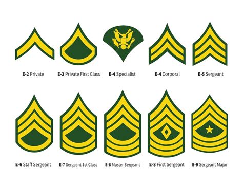 Army Rank Svg, Army Enlisted Rank SVG, Army Rank Insignia, US Army ...