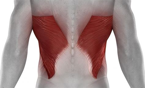 Dolor dorsal ancho: síntomas, causas, tratamiento, prevención