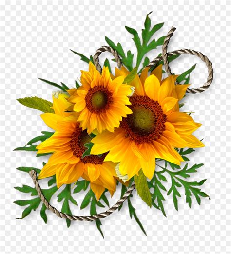 Cheyokota Digital Scraps - Bouquet Of Sunflowers Clip Art - Png ...