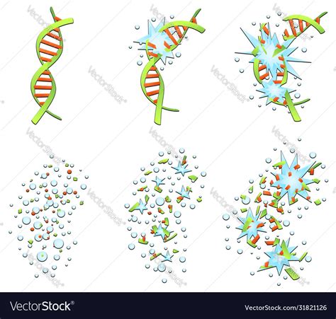 Dna helix breaking cartoon set Royalty Free Vector Image