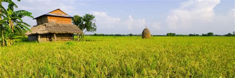 Visit Terai on a trip to Nepal | Audley Travel UK