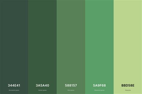 35+ Best Green Color Palettes with Names and Hex Codes – CreativeBooster