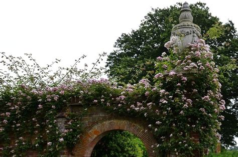 Hole Park Gardens © Michael Garlick :: Geograph Britain and Ireland