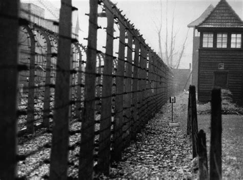 Holocaust Concentration Camps – Telegraph