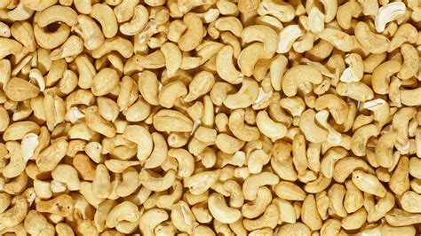 Why cashews are never sold while in their shells | Britannica