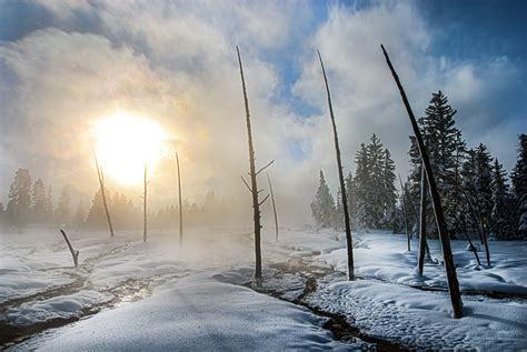 Yellowstone National Park Is Even More Magical In Winter Than Summer