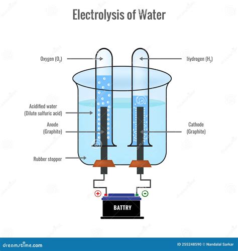 Eletrólise Da Ilustração Do Vetor De Hidrogênio E Oxigênio Que Forma ...