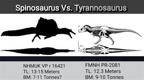 9+ Ark Dino Calculator - JaxzShadow