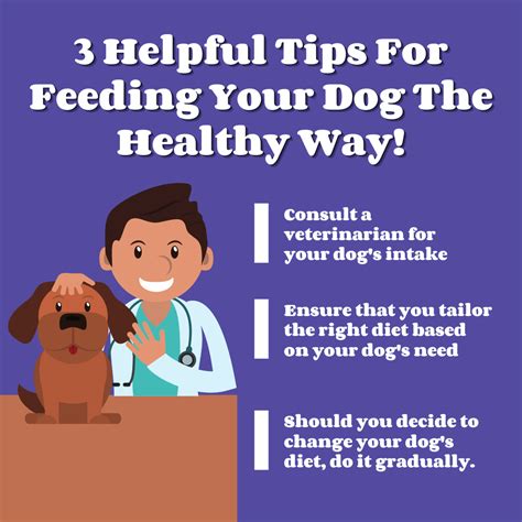 3 Helpful Tips For Feeding Your Dog The Healthy Way! - Business ...