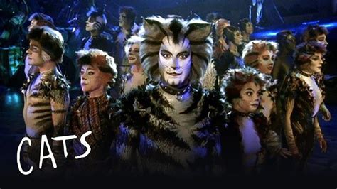 'Cats' will stream for free, fastened to Andrew Lloyd Webber's film series