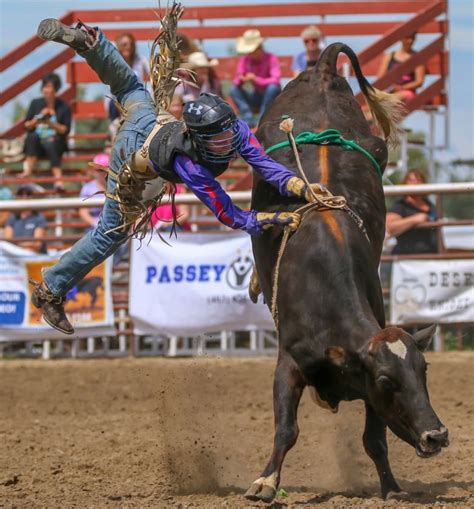 Bailey Schellenberg, first female steer rider at Canadian Finals rodeo ...