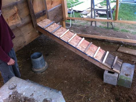 Chicken Coop Accessories - Cliff Dutton Carpentry