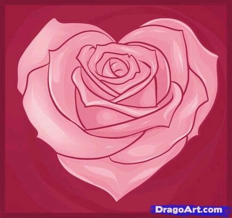 Corazón de rosa | Flower drawing, Roses drawing, Rose drawing