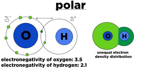 What Is Polar Covalent Bond In Chemistry Slideshare | Free Nude Porn Photos