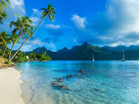 Polynesia Paradise - Discover The Tropical Paradise Of The Pacific Ocean