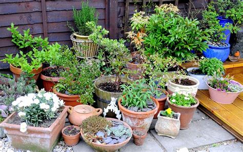 A Quick Guide To: Garden Pots, Planters and Containers