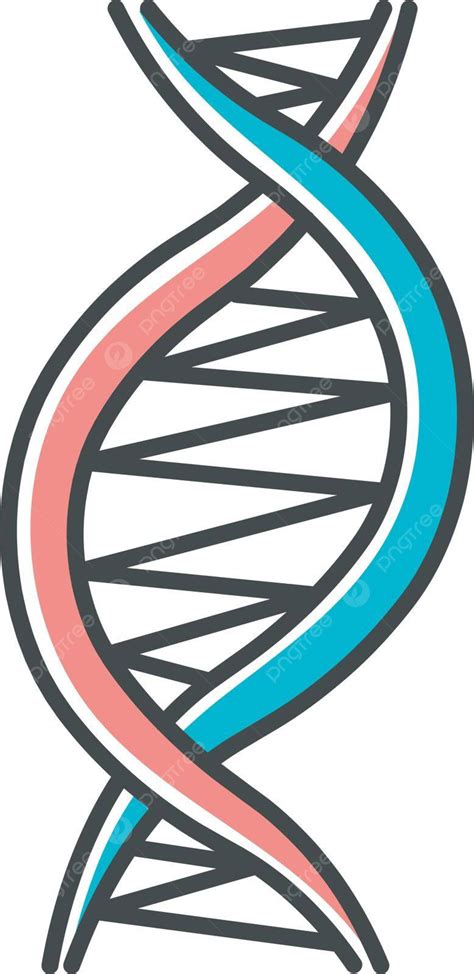 Hélice De Dna Canhota Colorida Com Logotipo De Par De Desenho Animado ...